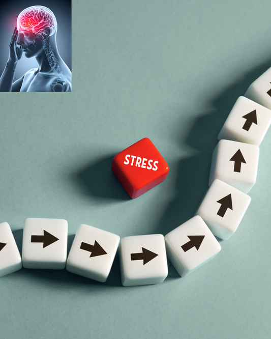 From Stress to Balance Through Body and Scent